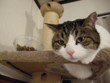 DSCN8643.jpg