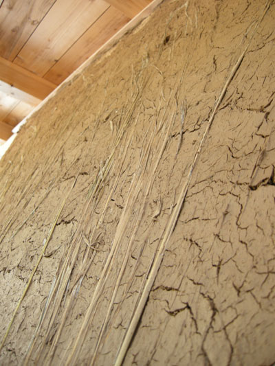 DSCN4015.jpg