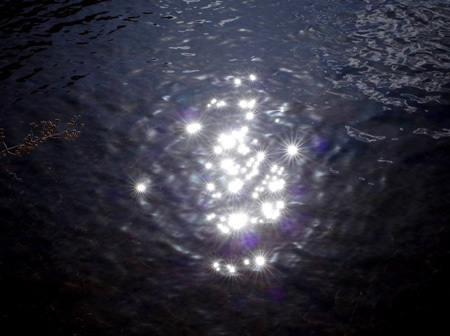 27072936_1900908366617355_4.jpg