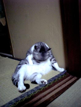 7_14_2.jpg