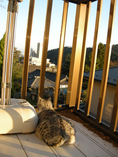 DSCN0328.jpg