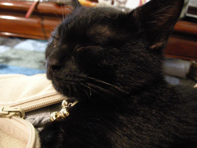 DSCN0489.jpg