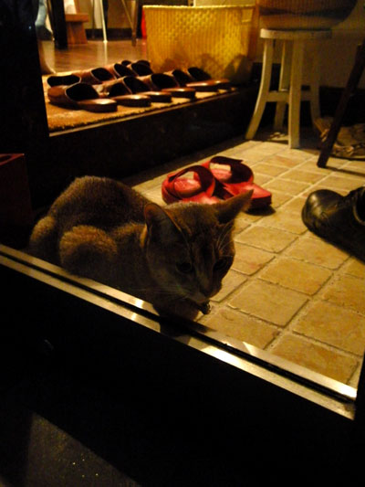 DSCN0679.jpg