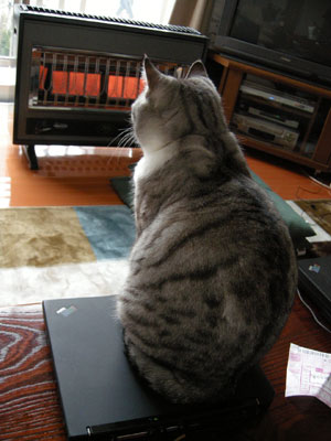 DSCN0735.jpg