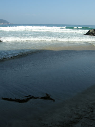 DSCN1117.jpg