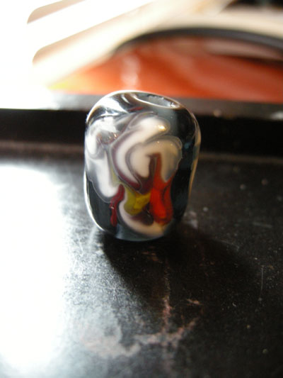 DSCN1621.jpg