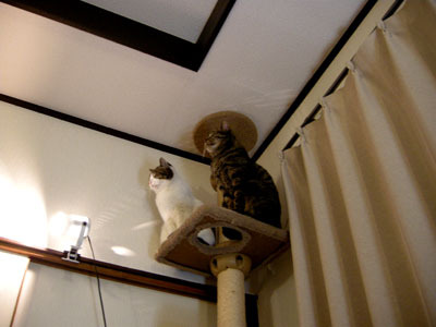 DSCN1974.jpg