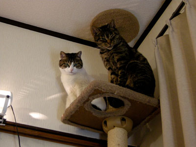 DSCN1978.jpg