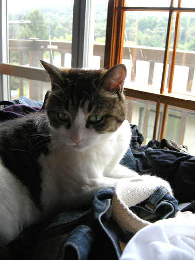 DSCN3568.jpg