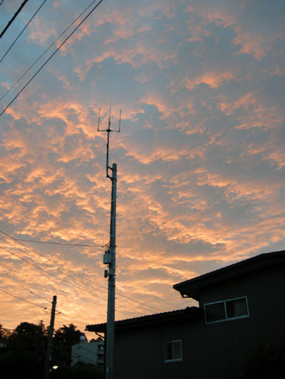 DSCN4366.jpg
