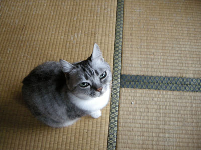 DSCN5289.jpg