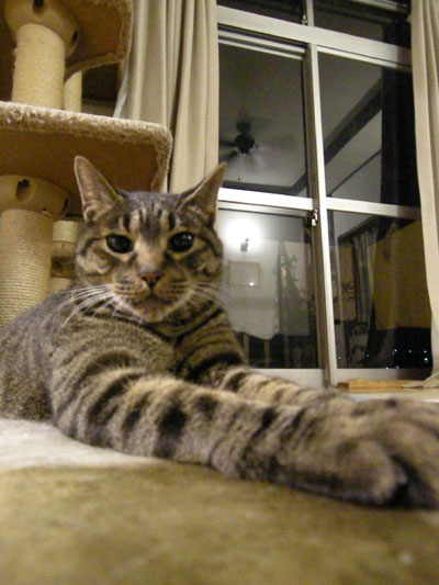 DSCN5536.jpg