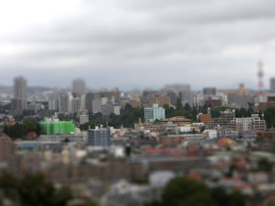 DSCN8278-t.jpg