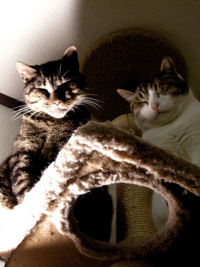 DSCN8468.jpg