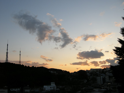DSCN8523.jpg