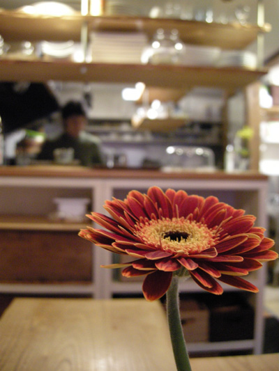 DSCN8550.jpg