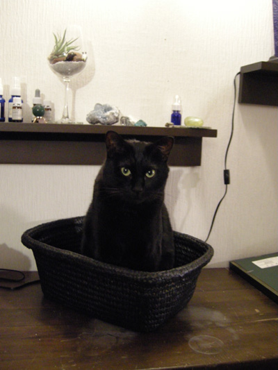 DSCN8579.jpg