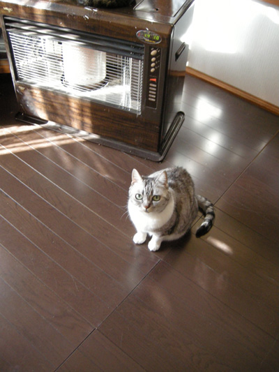 DSCN8591.jpg