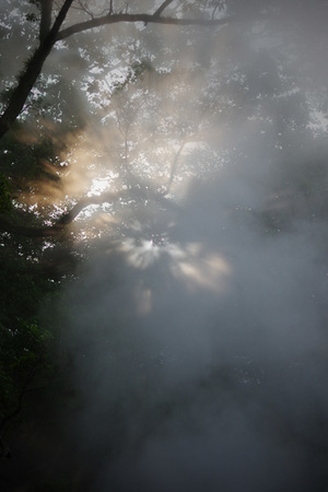 IMGP2720.jpg