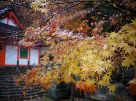 R0002175.jpg