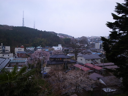 R0019307.jpg