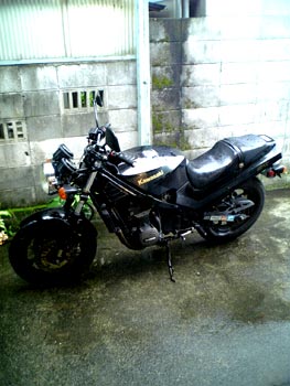 fxr_3.jpg