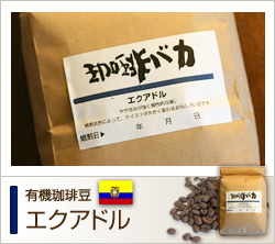 home_lineup_ecuador_1.jpg