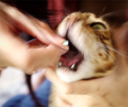 kai_medic_3.jpg