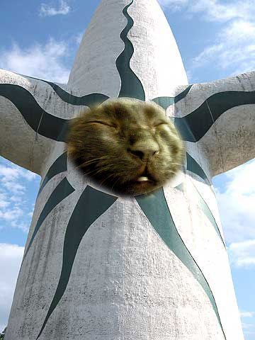 ku_colla_3.jpg