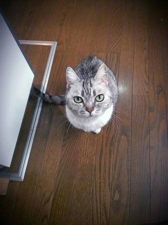 maru2016_5.jpg