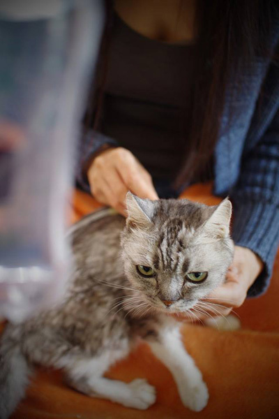 maru_2015_2_3.jpg