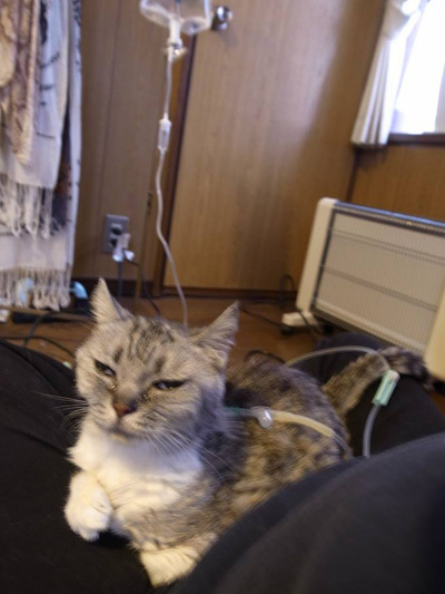 maru_2015_2_4.jpg